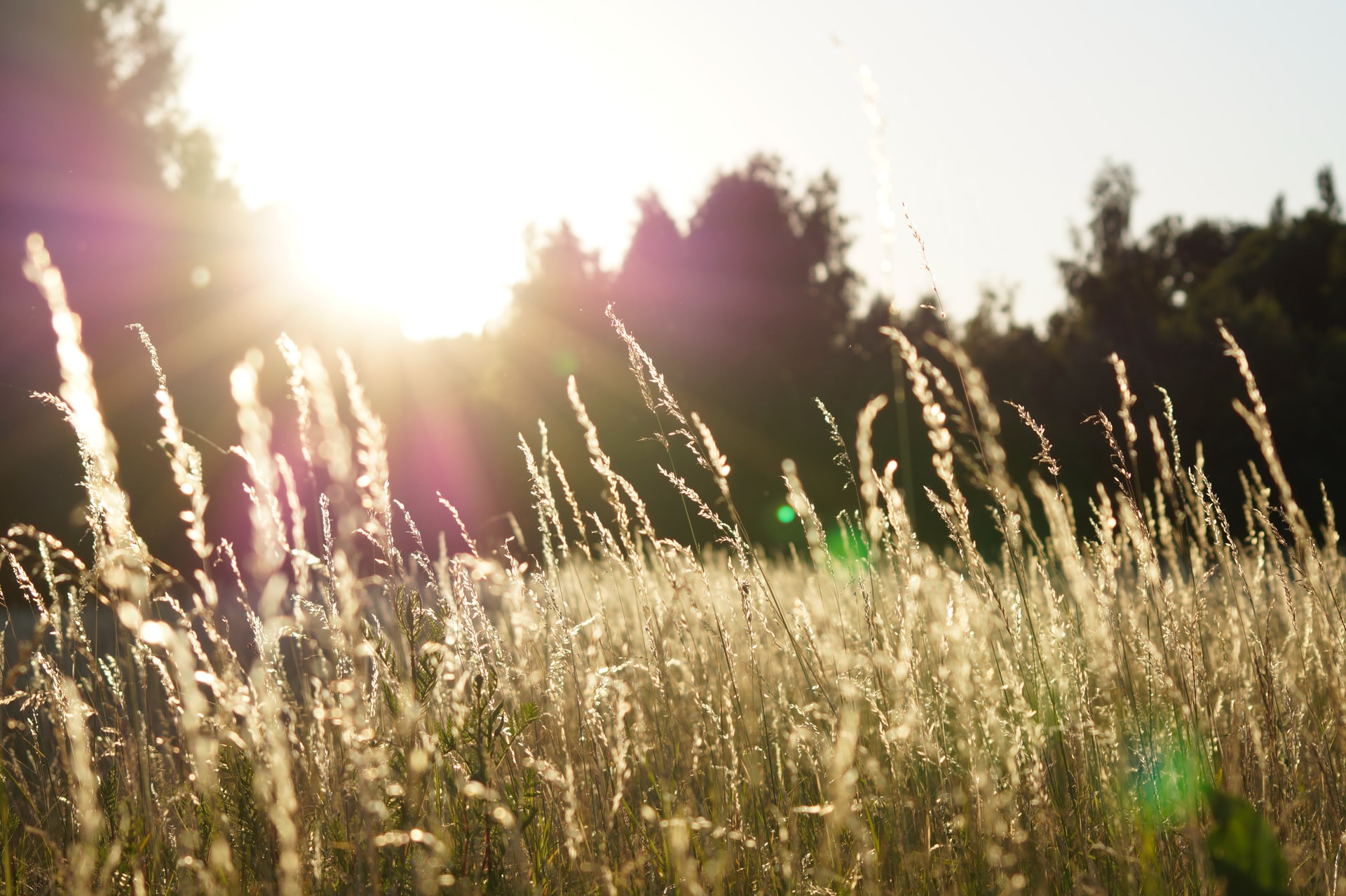 Urlaub in der Altmark