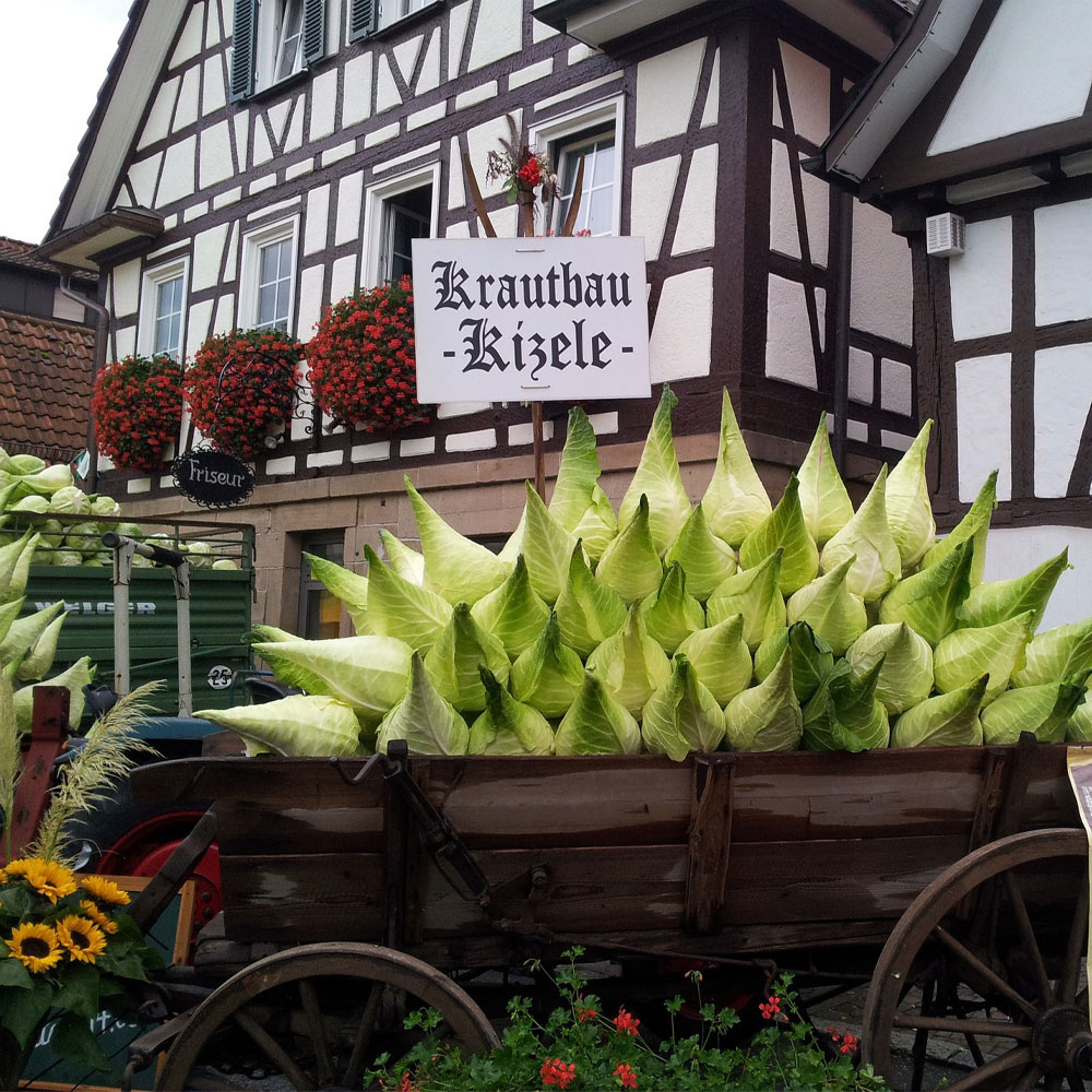 Urlaub in Baden Württemberg