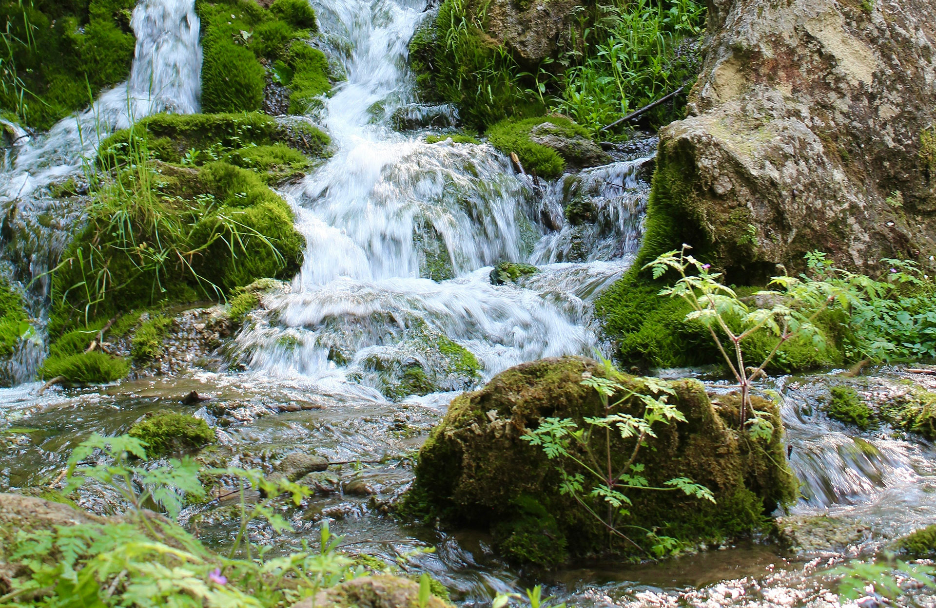 Urlaub in Cēsis