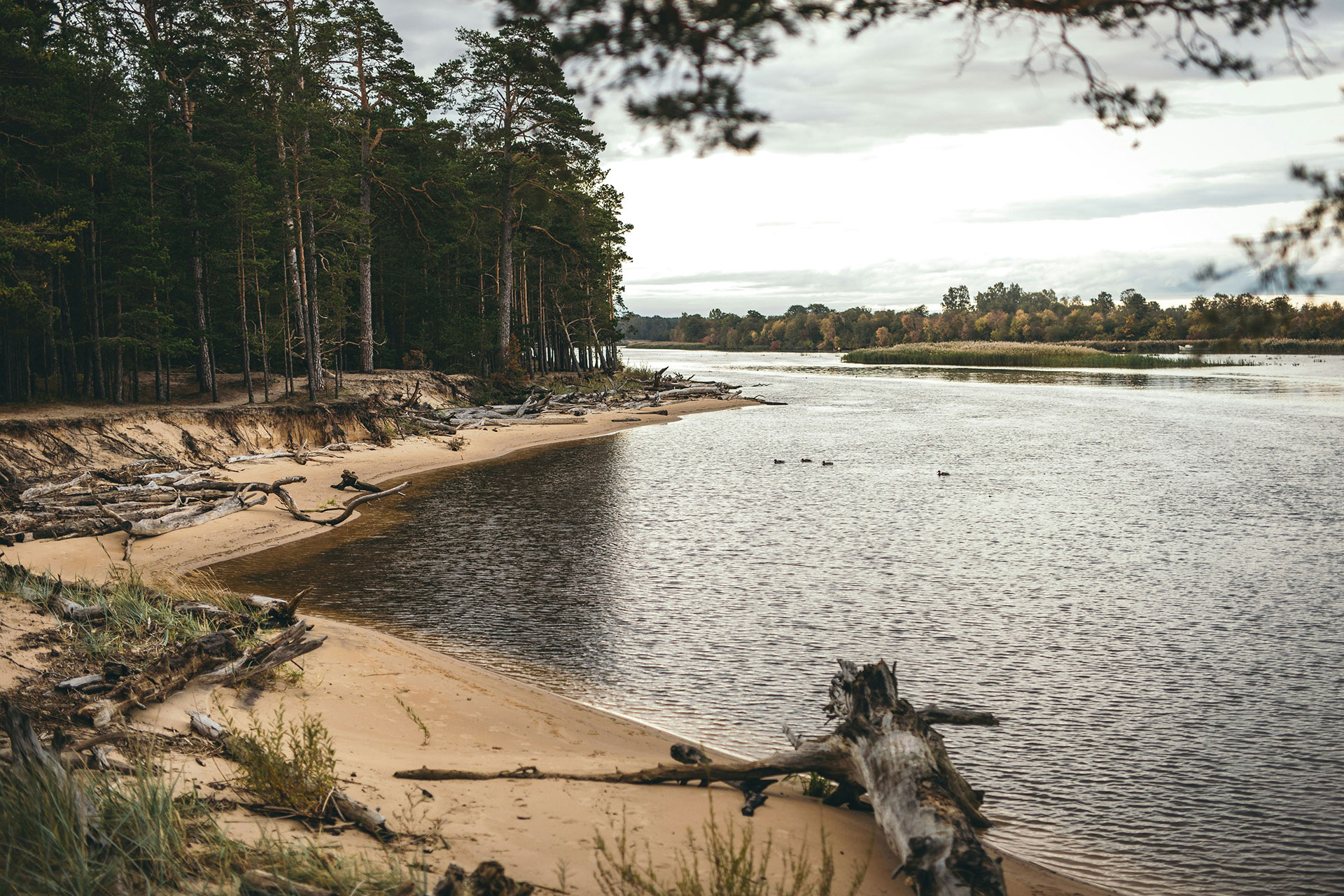 Urlaub in Cesvaine