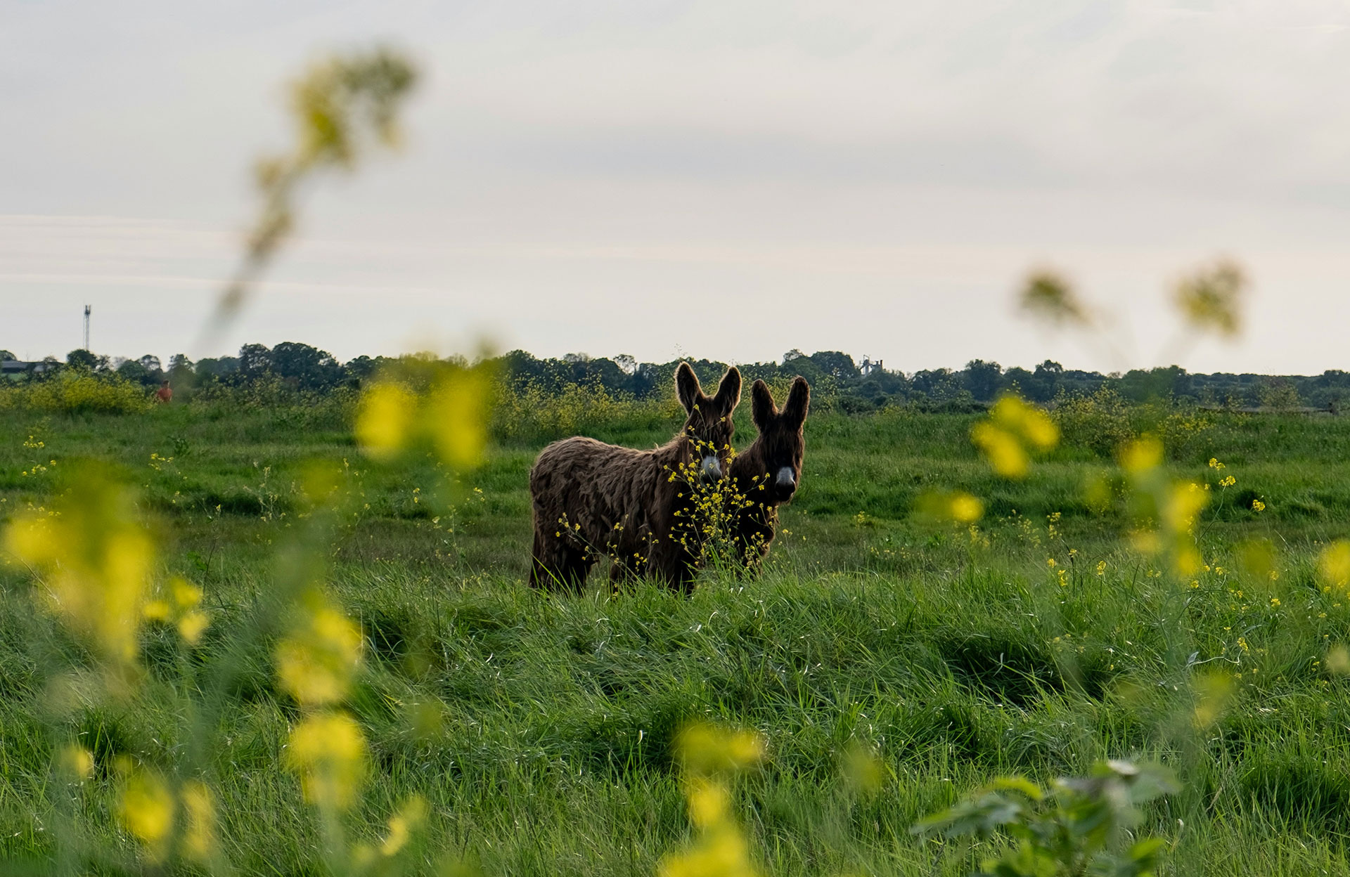 Urlaub in Deux Sevres