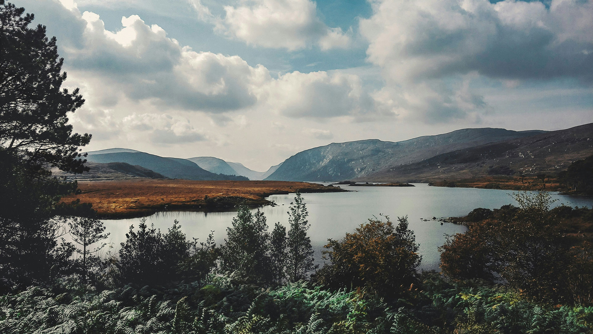 Urlaub in Donegal