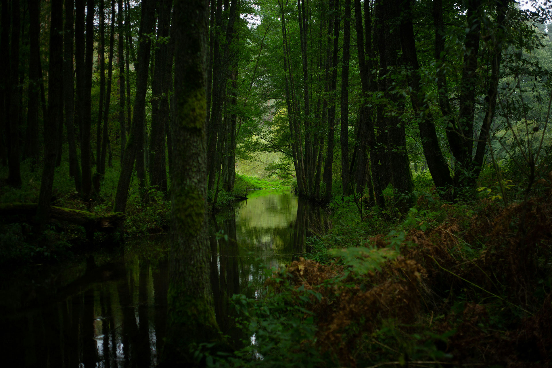 Urlaub in Dzūkija Region