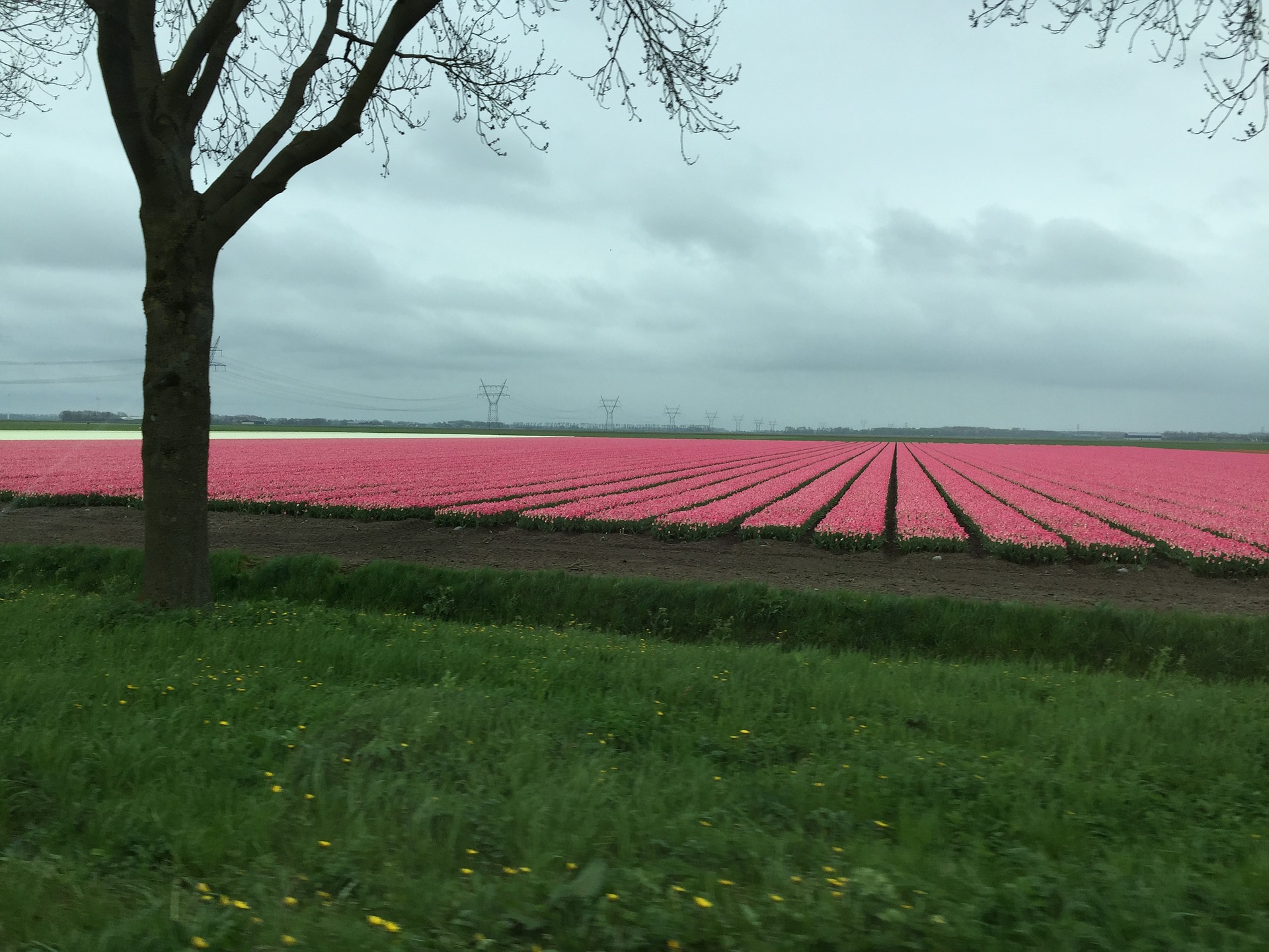 Urlaub in Flevoland