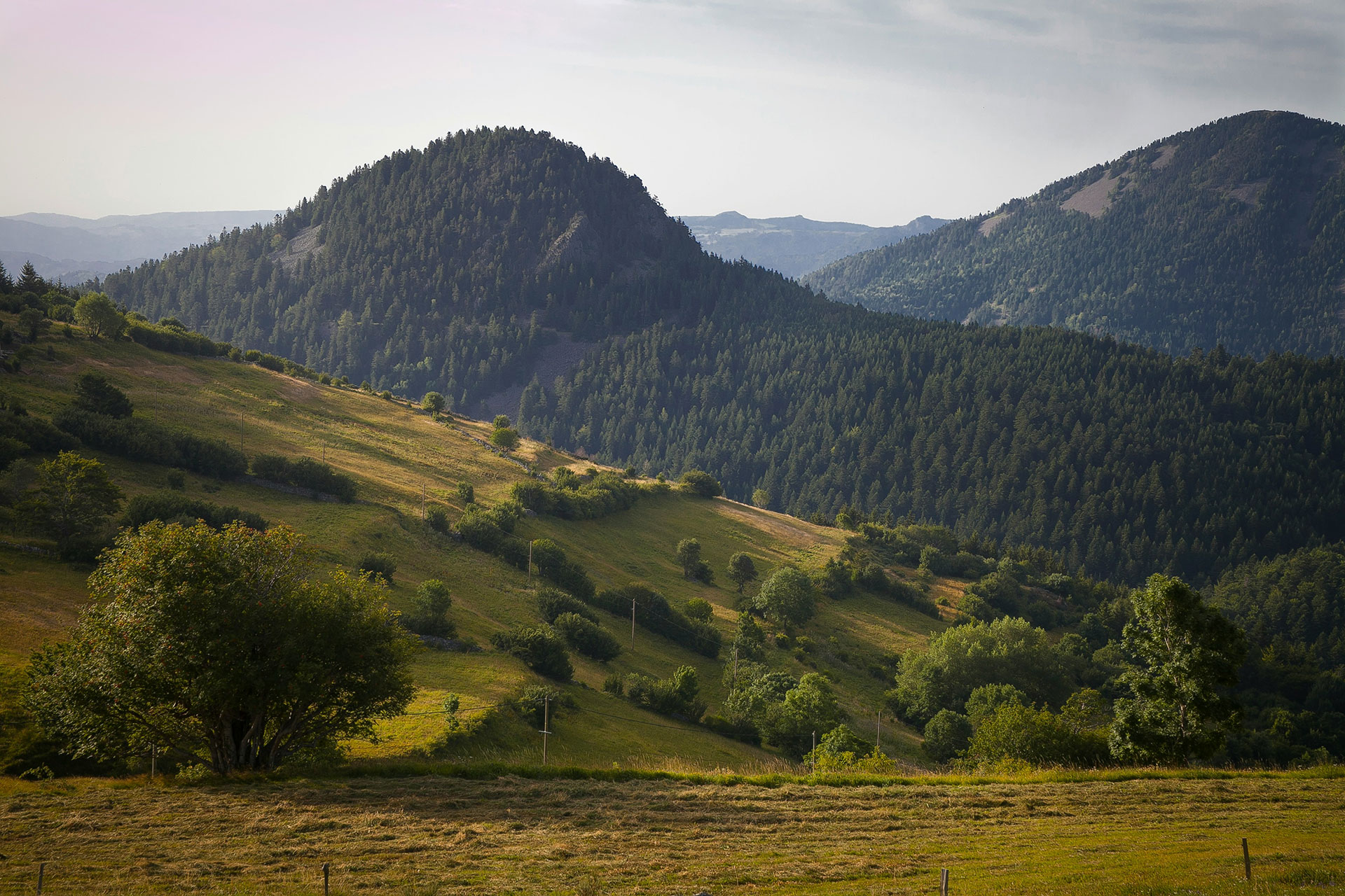 Urlaub in Haute Loire