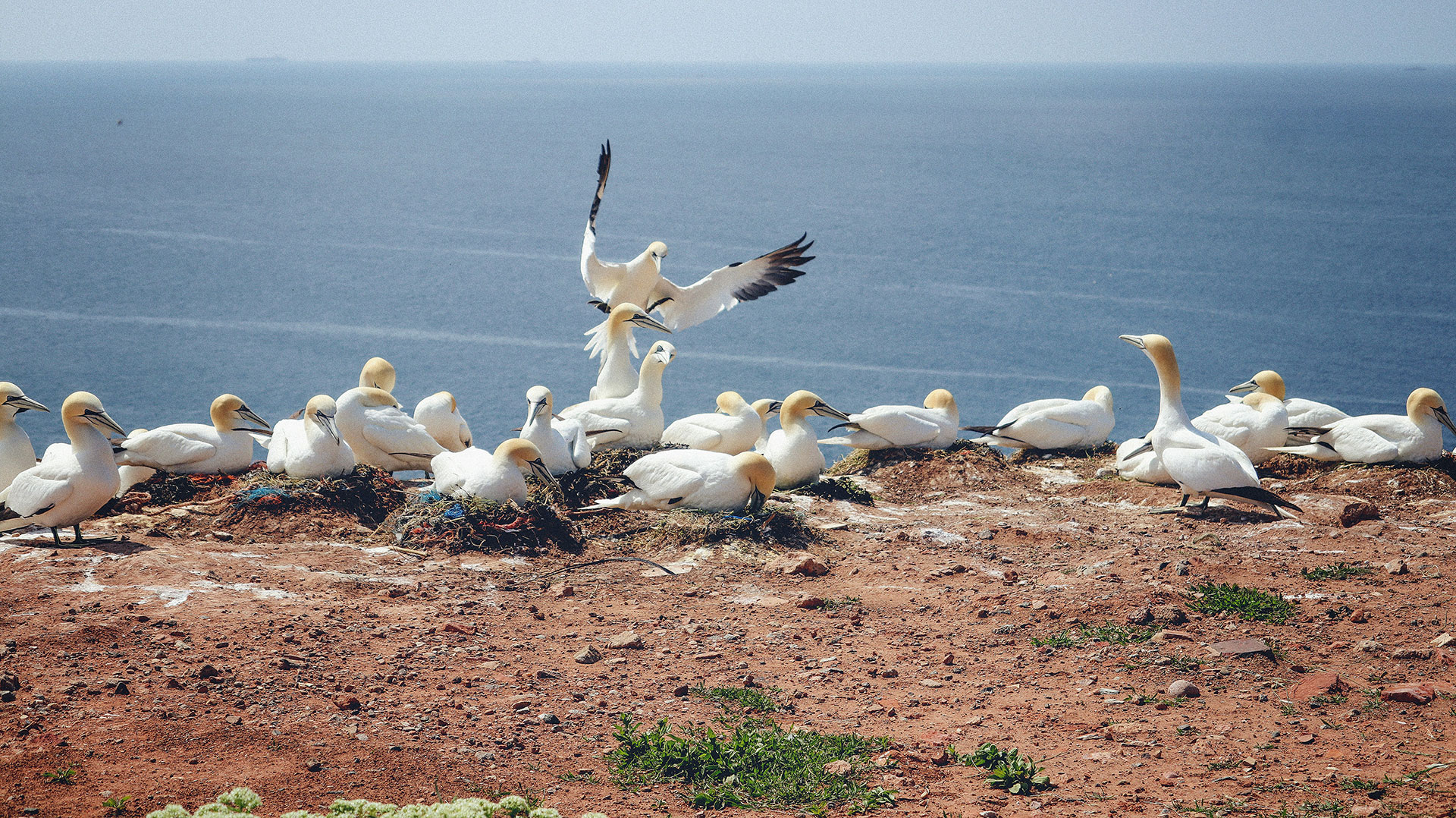 Urlaub auf Helgoland