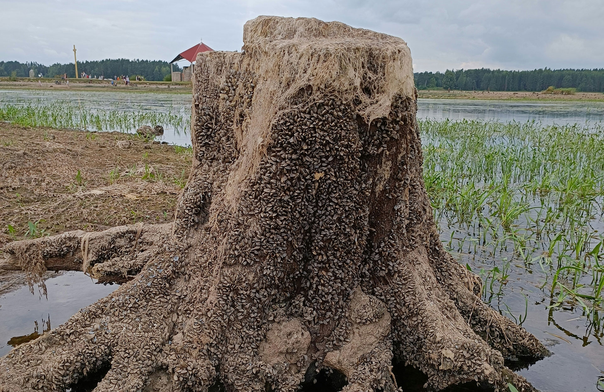 Urlaub in Ikšķile