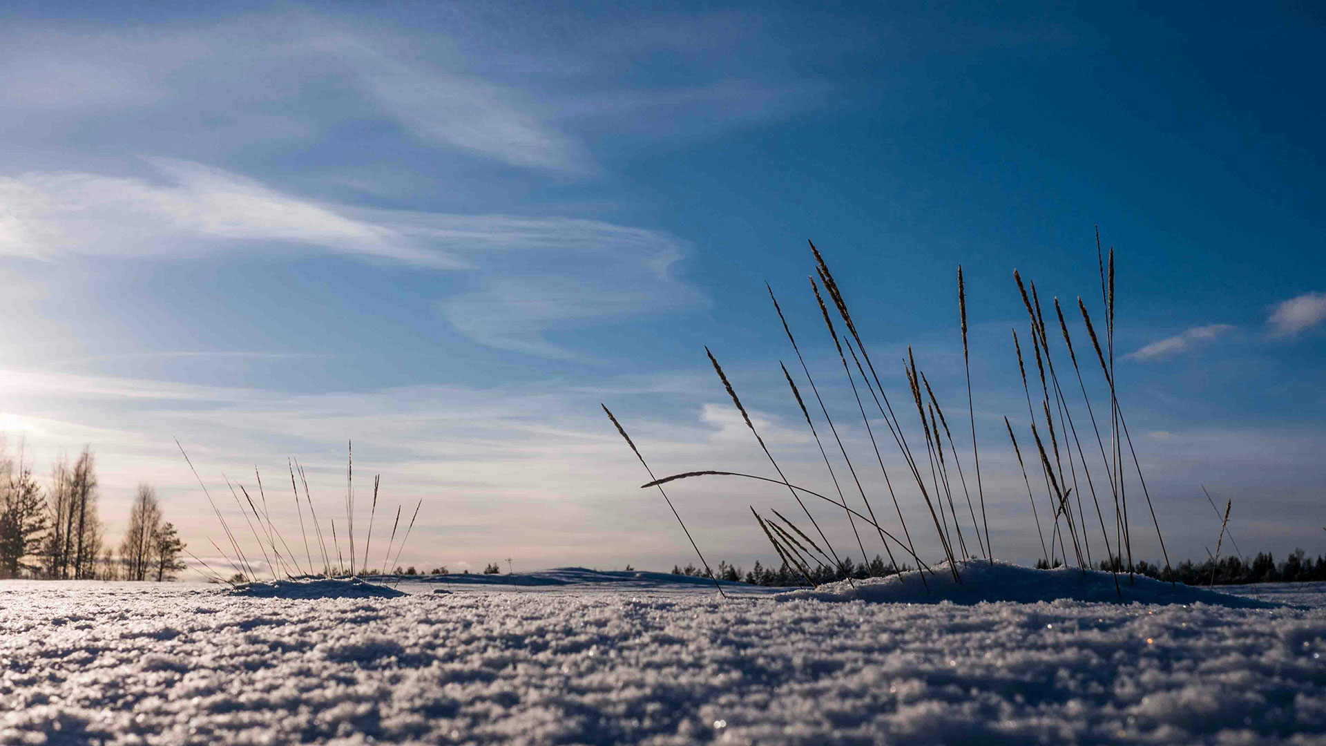 Urlaub in Järva