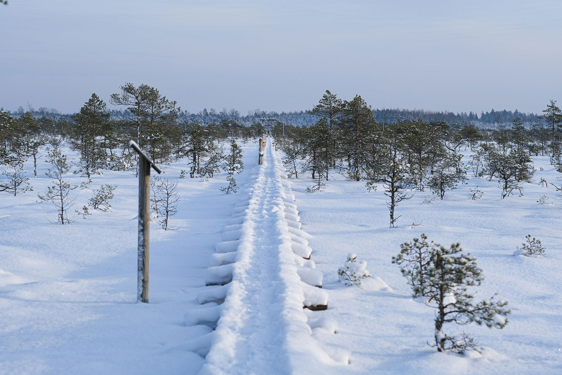 Urlaub in Jõgeva