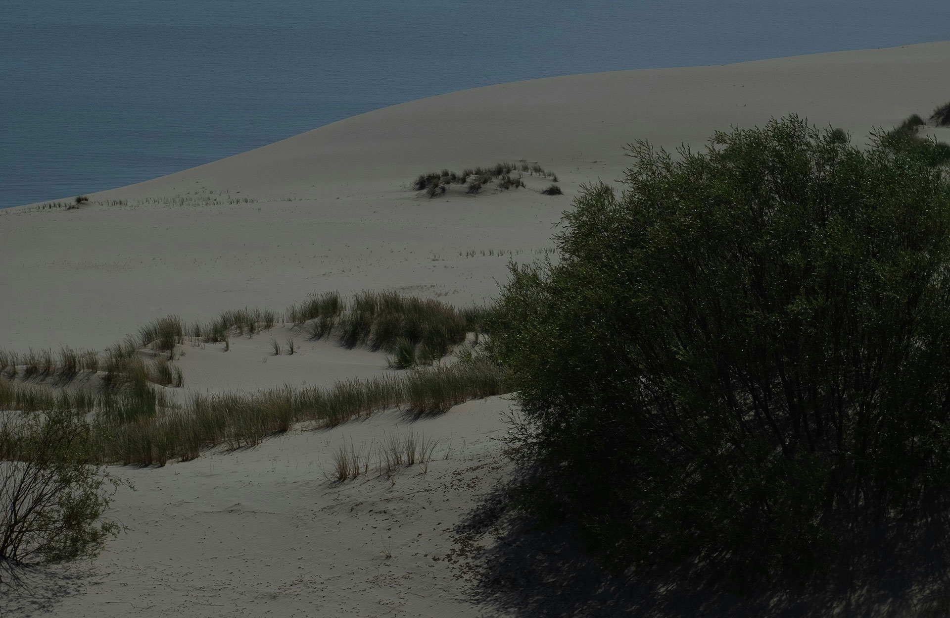 Urlaub in der Kurische Nehrung