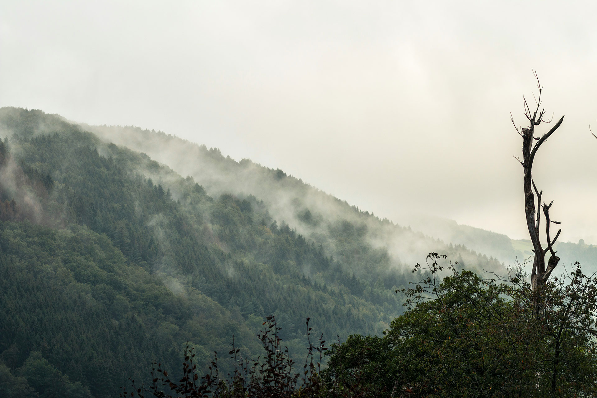 Liège-Eifel-Ardennen