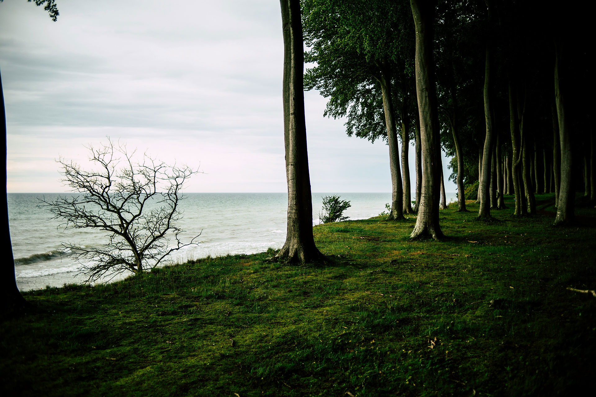 Urlaub auf Møn