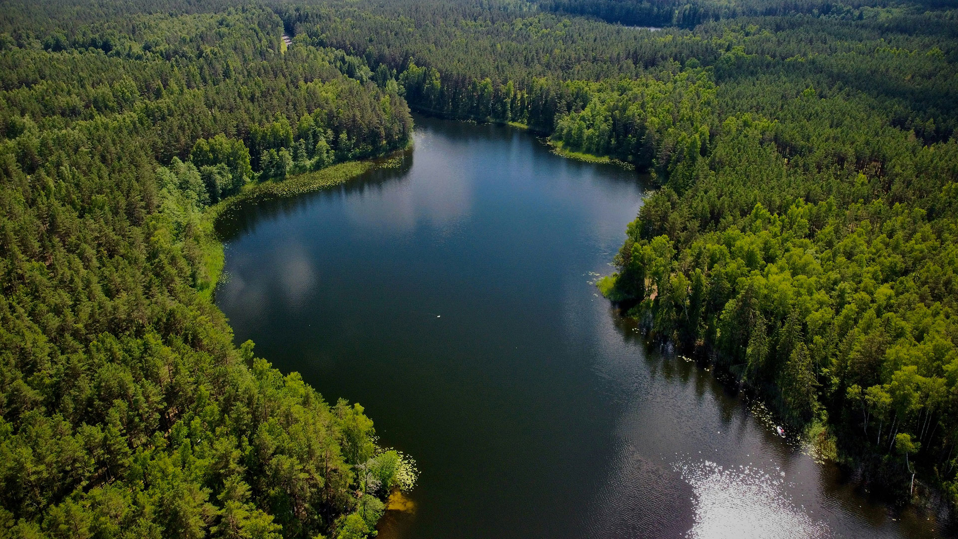 Urlaub im Nationalpark Žemaitija