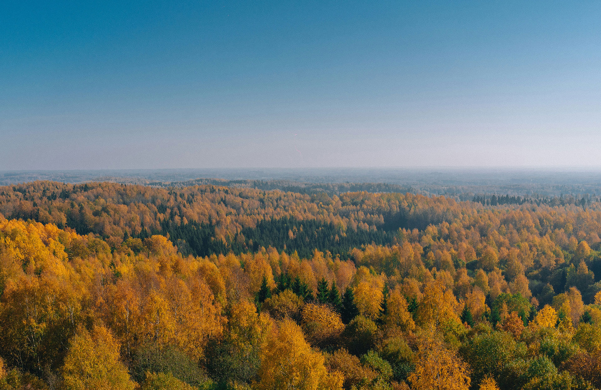 Urlaub in Otepää