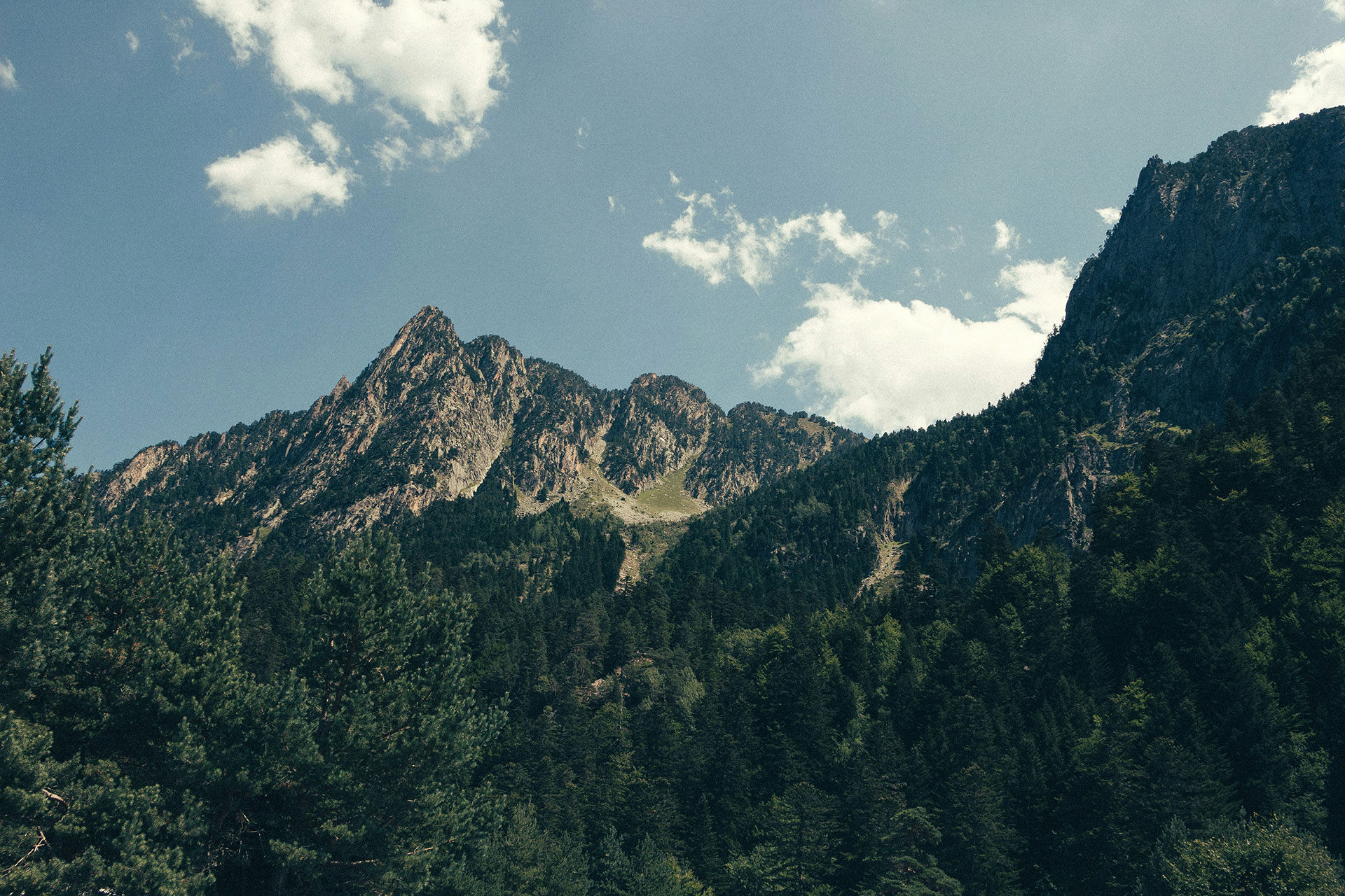 Urlaub in Pyrénées Orientales