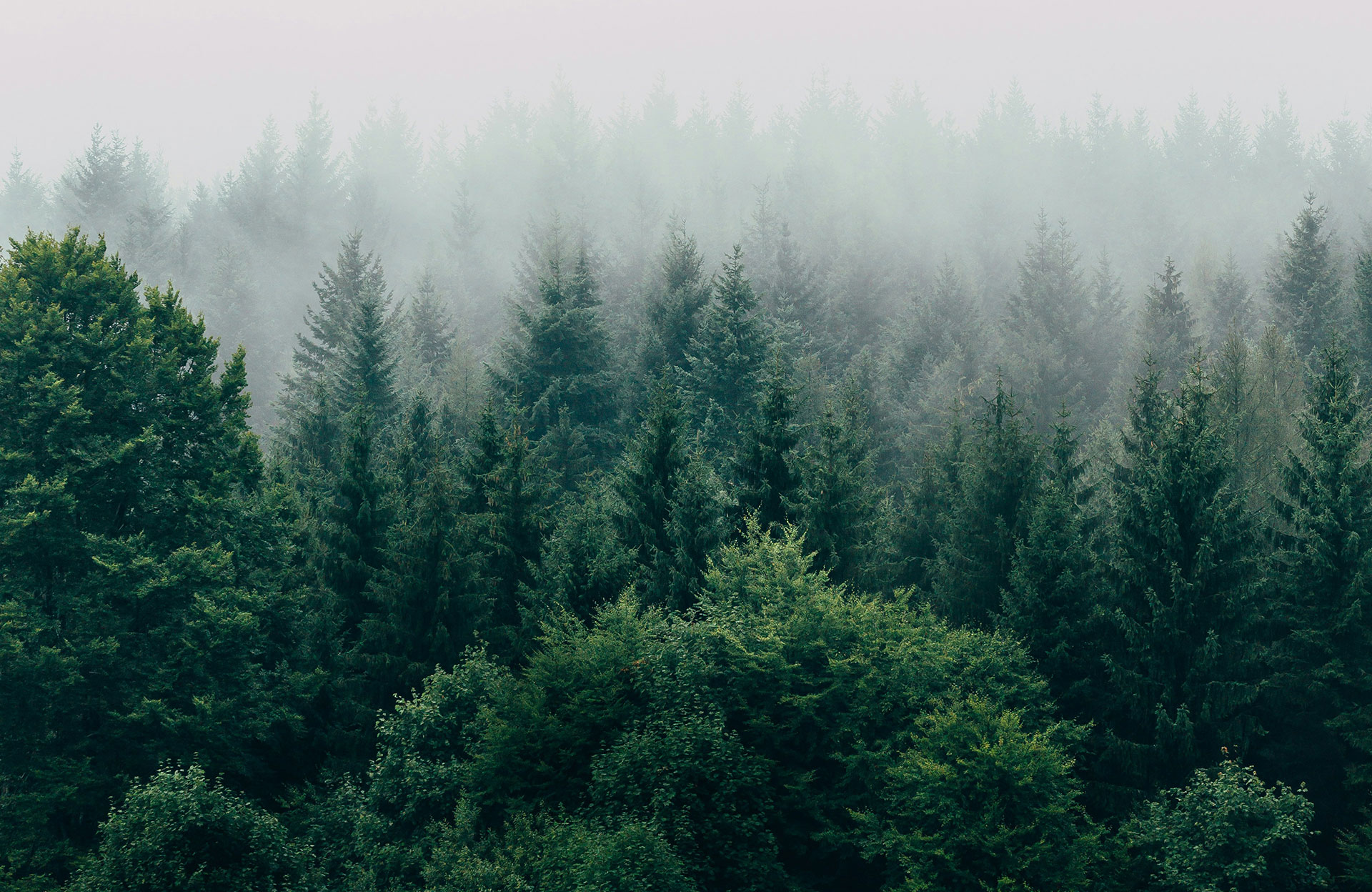 Urlaub im Schwäbischen Wald