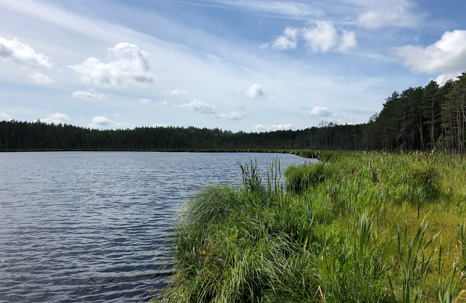 Urlaub in Viljandi