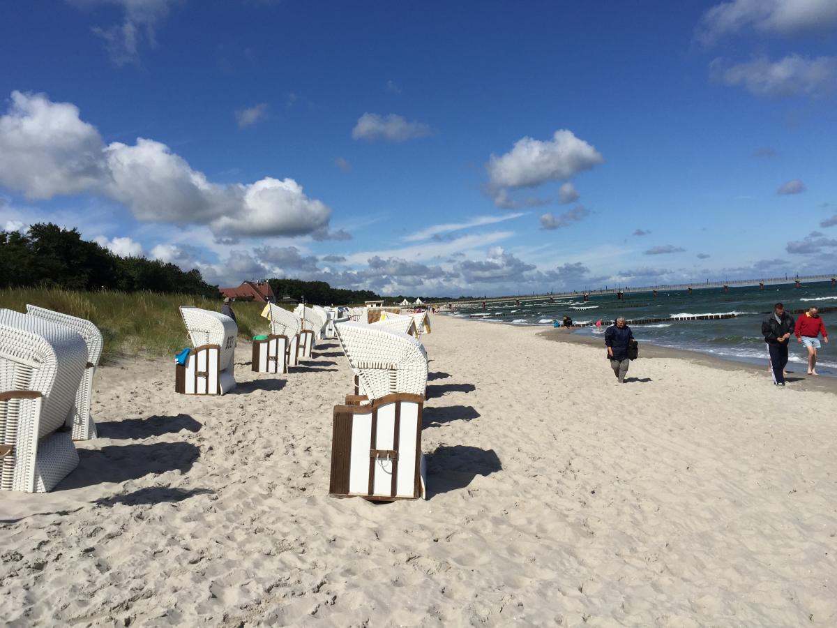 Zingst: 2-Zi-Ferienwohnung SEEWOLF