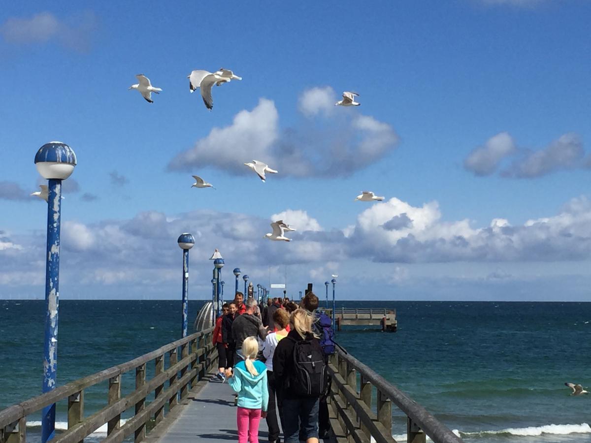 ZINGST: 3-Zi-Ferienwohnung PIRATENNEST 2